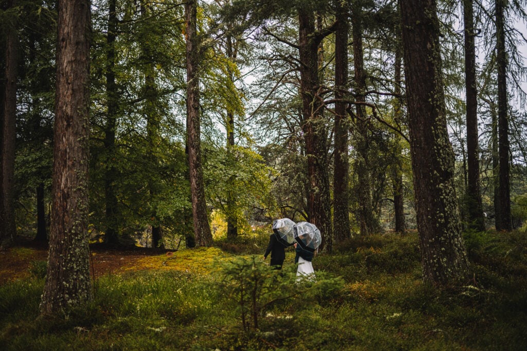 Couple walking together through forest path