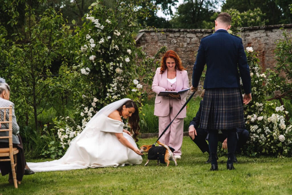 Bride crouching to greet a dog during outdoor ceremony