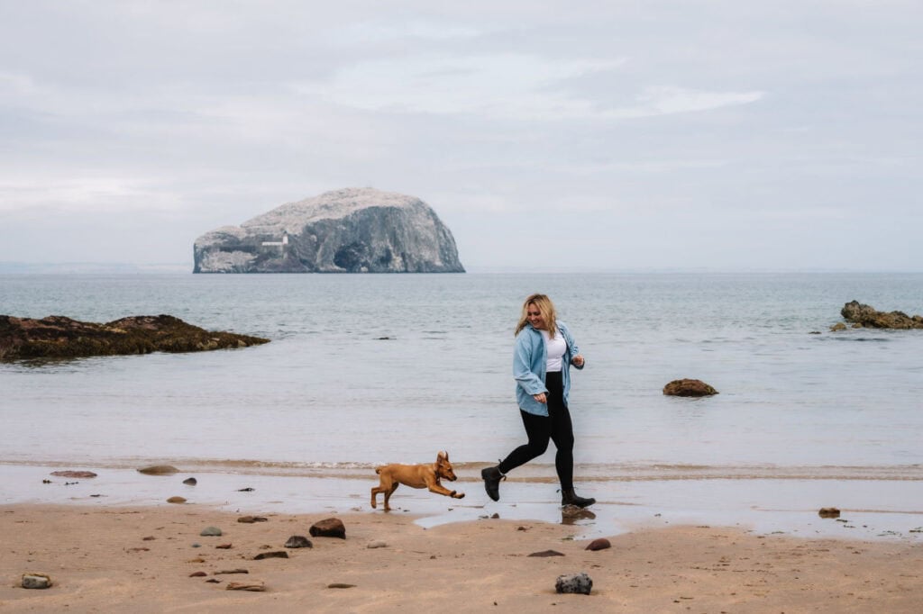 Person walking dog along Scottish beach with island view