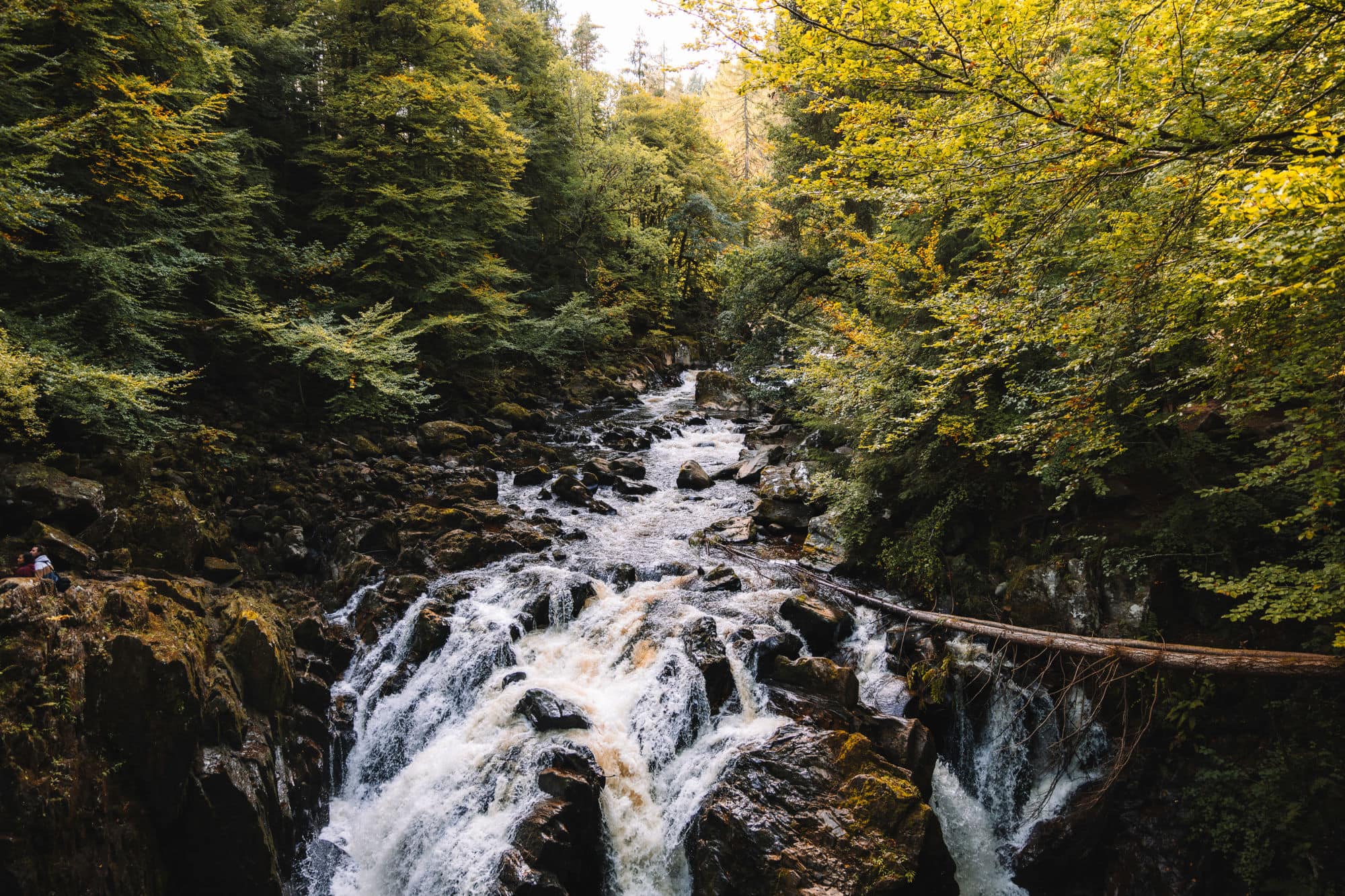 Waterfall flowing through forest landscape in Scotland