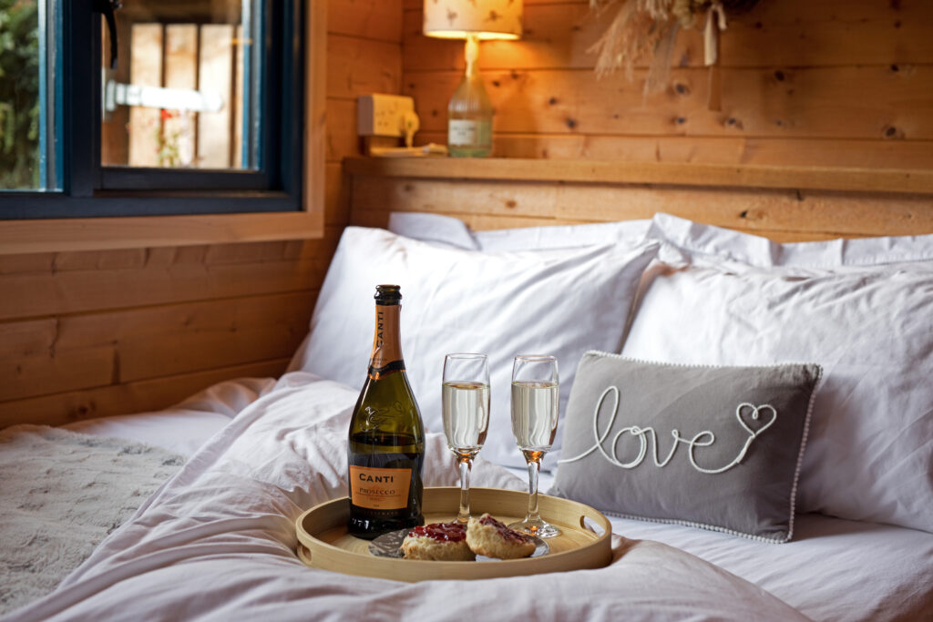Secret Cabin Elopements