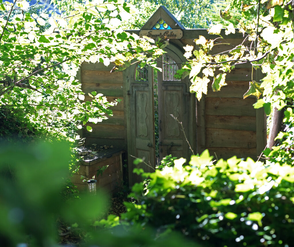 Secret Cabin Elopements