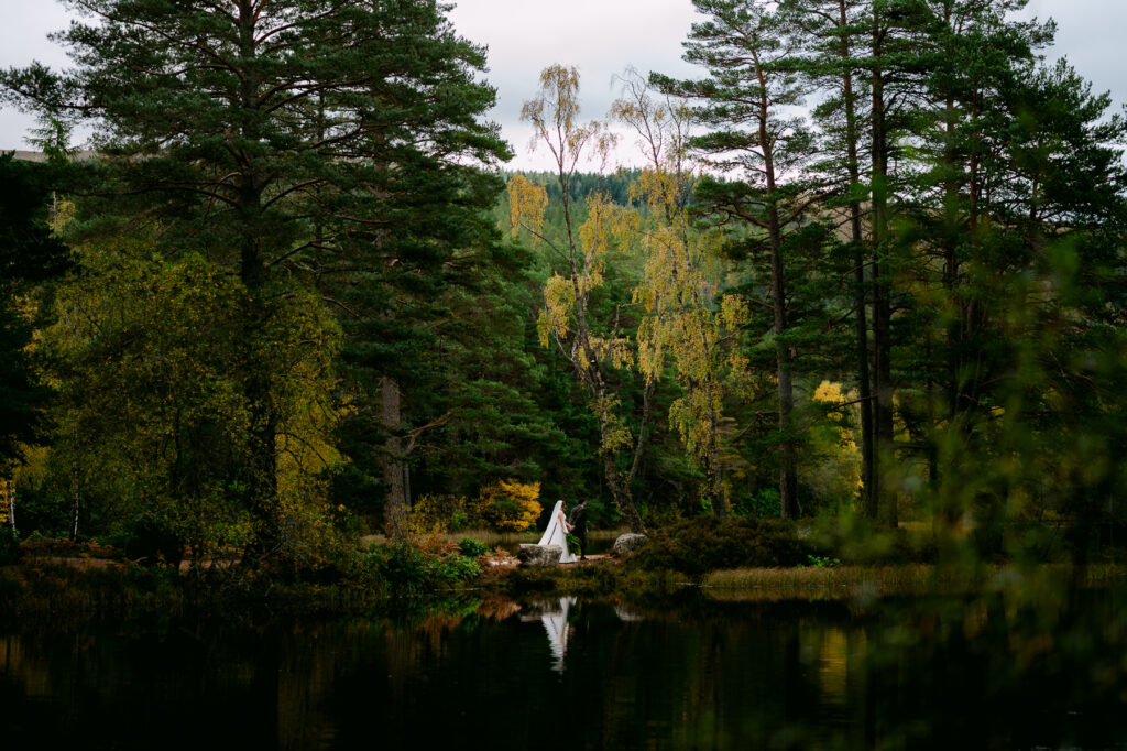 wedding couple walks through Peaceful forest lake with trees and reflections.