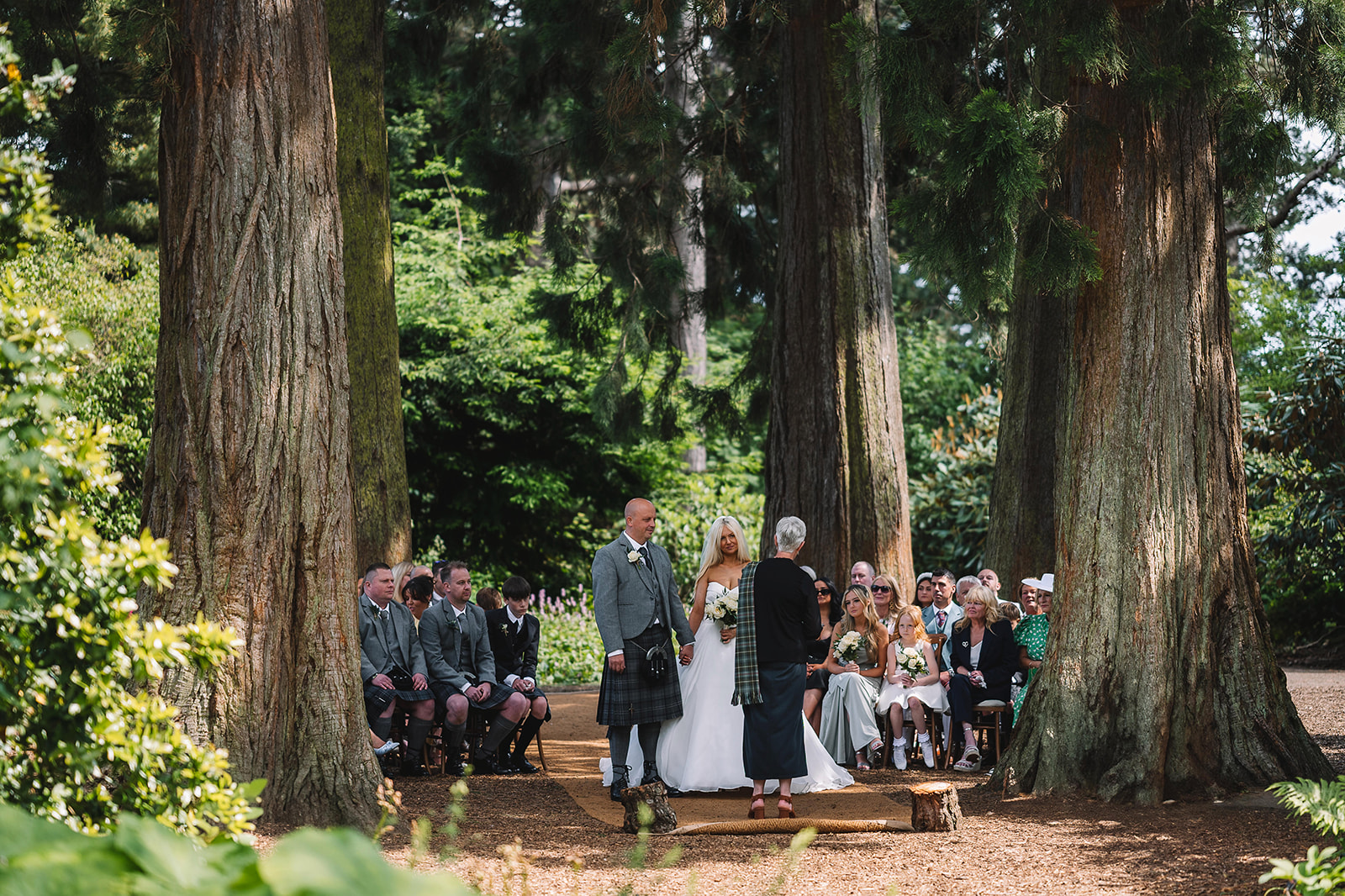 Ceremony setup with guests seated among tall trees.