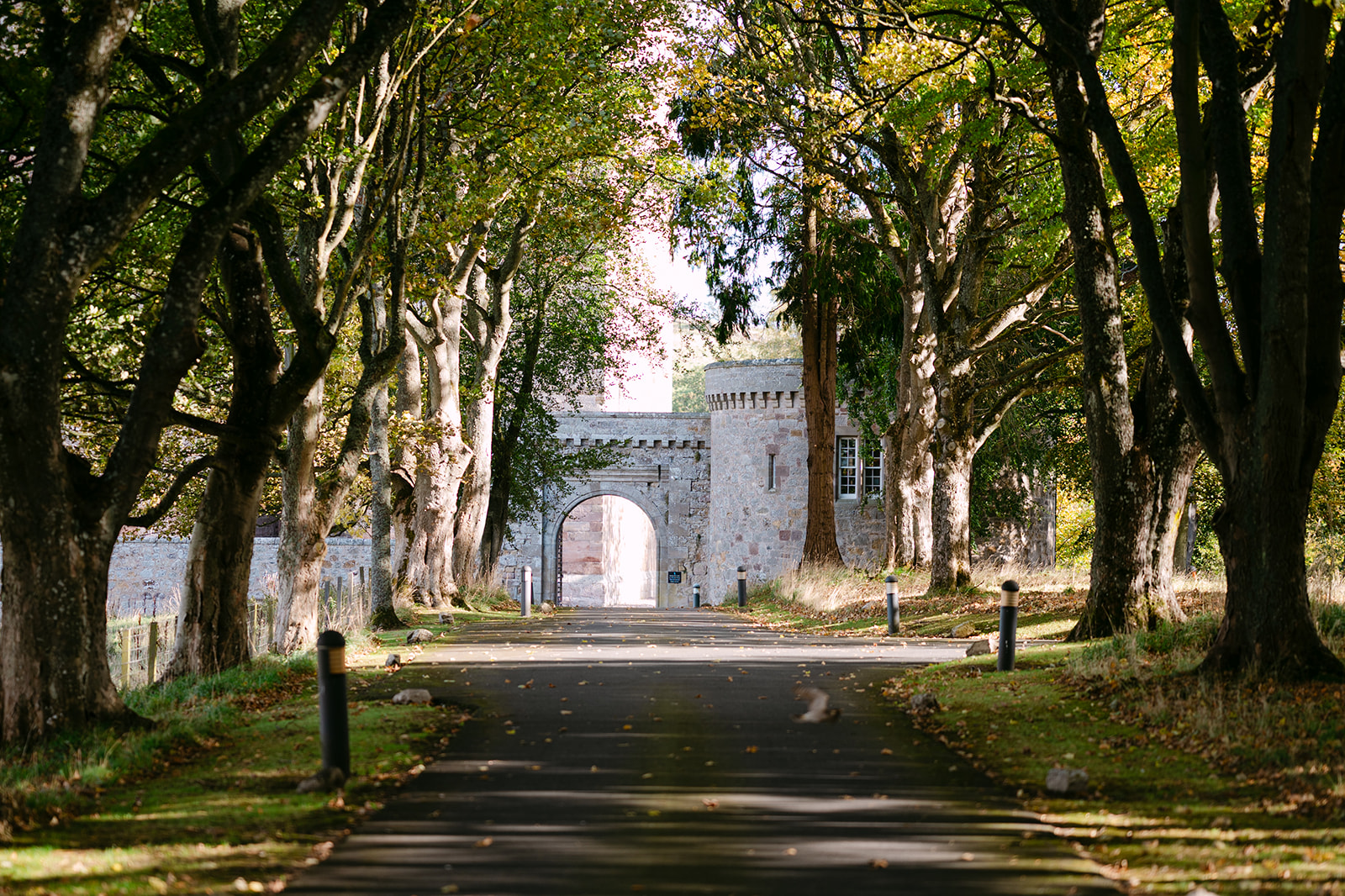 Tree-lined avenue leading to stone archway in estate grounds.