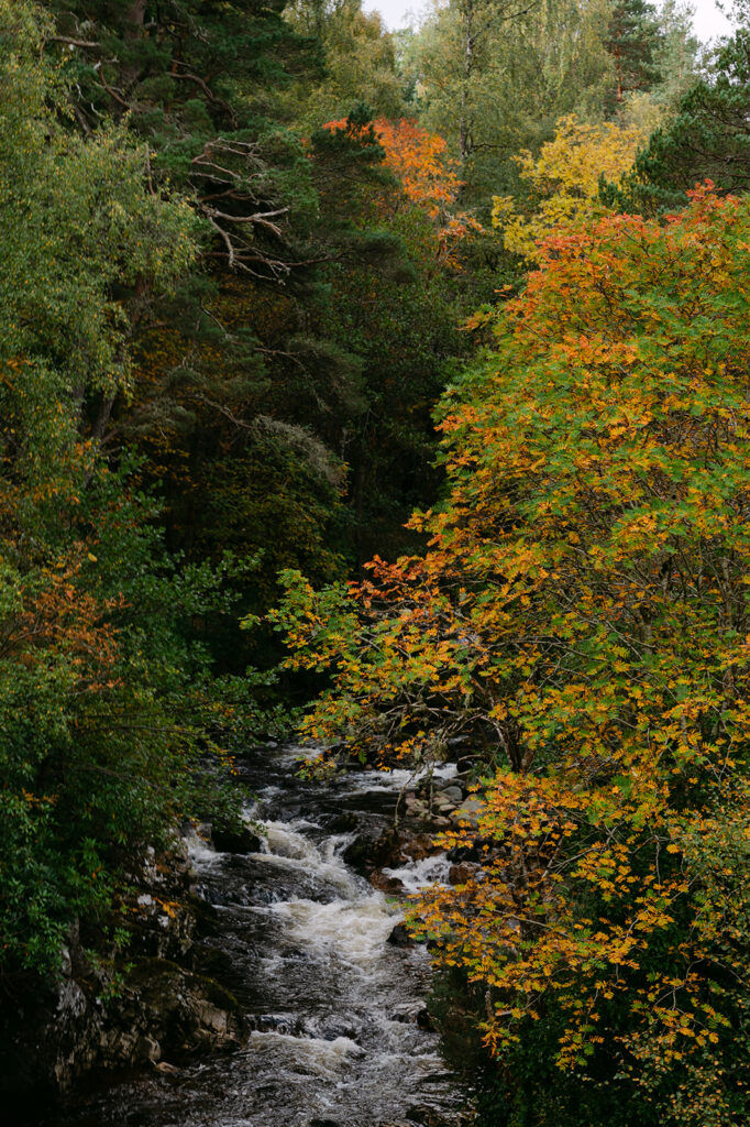 glen tanar waterfall