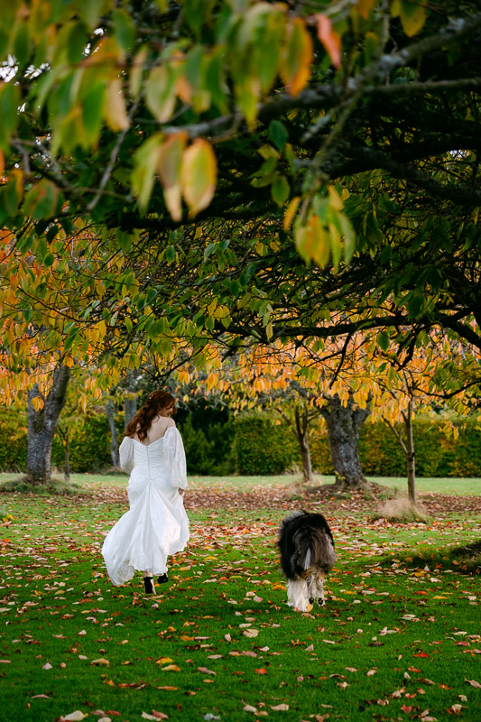 bride and dog run away
