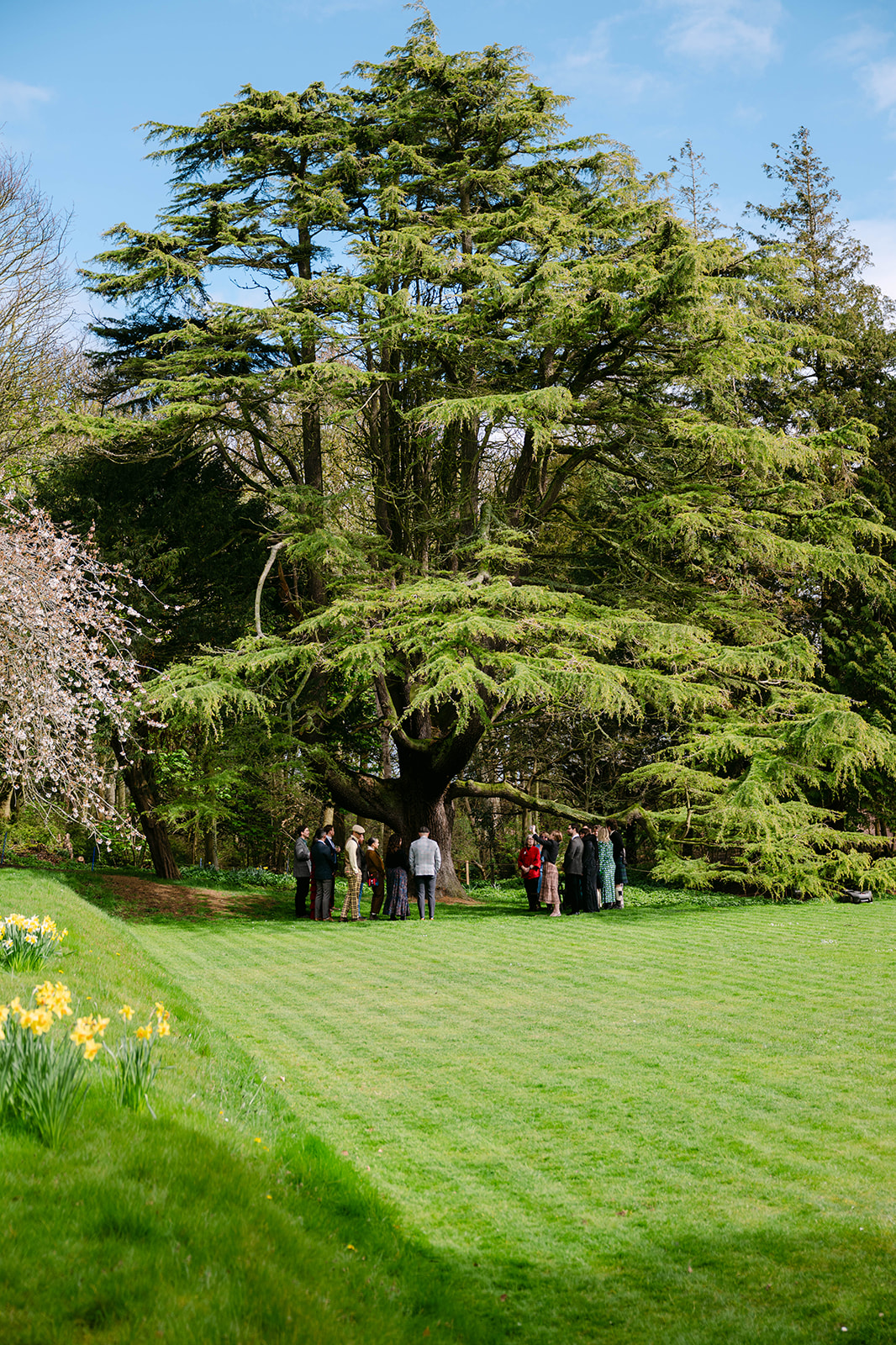 Cristina and Logan cambo estate wedding